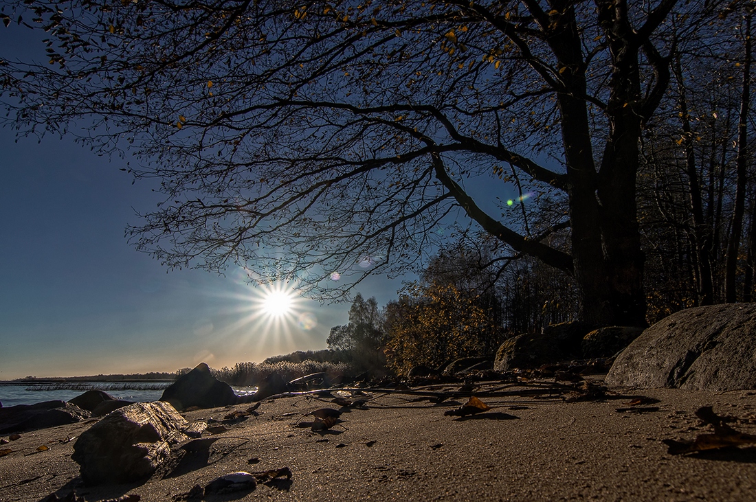 photo "***" tags: landscape, Europe, Sony-a580, St. Petersburg, Tokina 11-16, autumn, curier, morning, sun, water, Нева, Петергоф