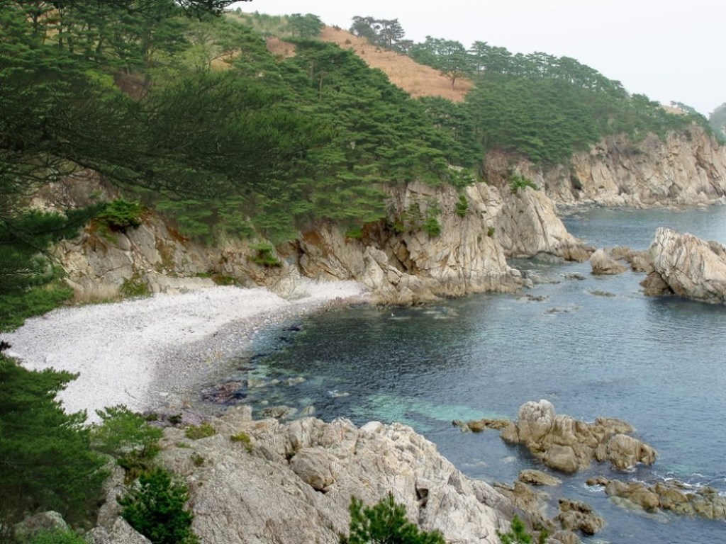 photo "***" tags: , rocks, Японское море, сосна