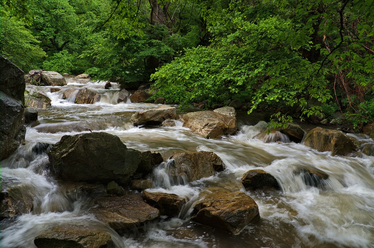 photo "***" tags: landscape, 