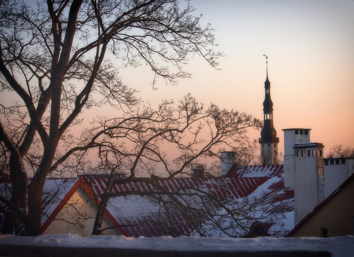 photo "***" tags: city, snow, winter, Таллин