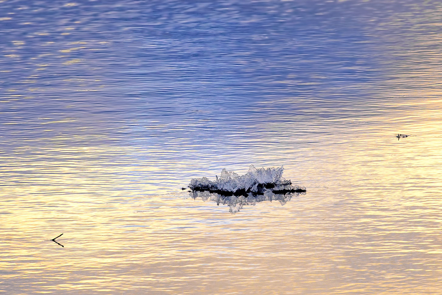 photo "***" tags: nature, 