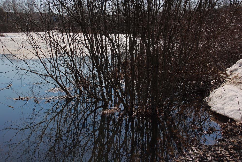 photo "***" tags: landscape, spring, water, Подмосковье