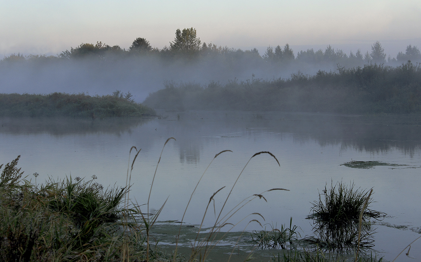 photo "***" tags: landscape, Бобруйск, березина, утро.