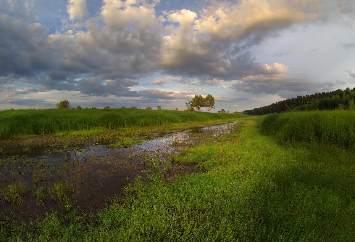 photo "***" tags: landscape, evening, Беларусь, заводь, заливной луг, полесье