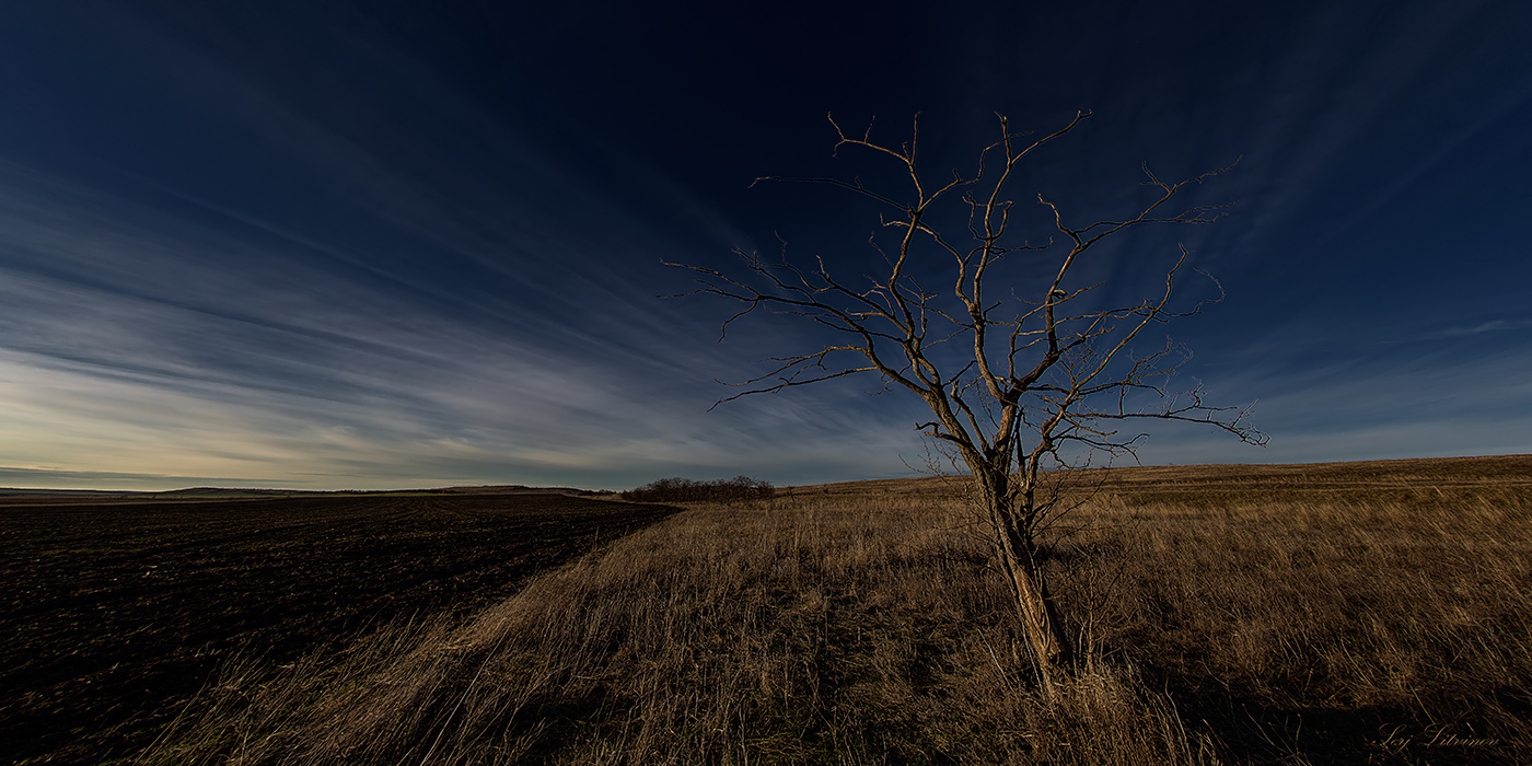 photo "***" tags: landscape, 