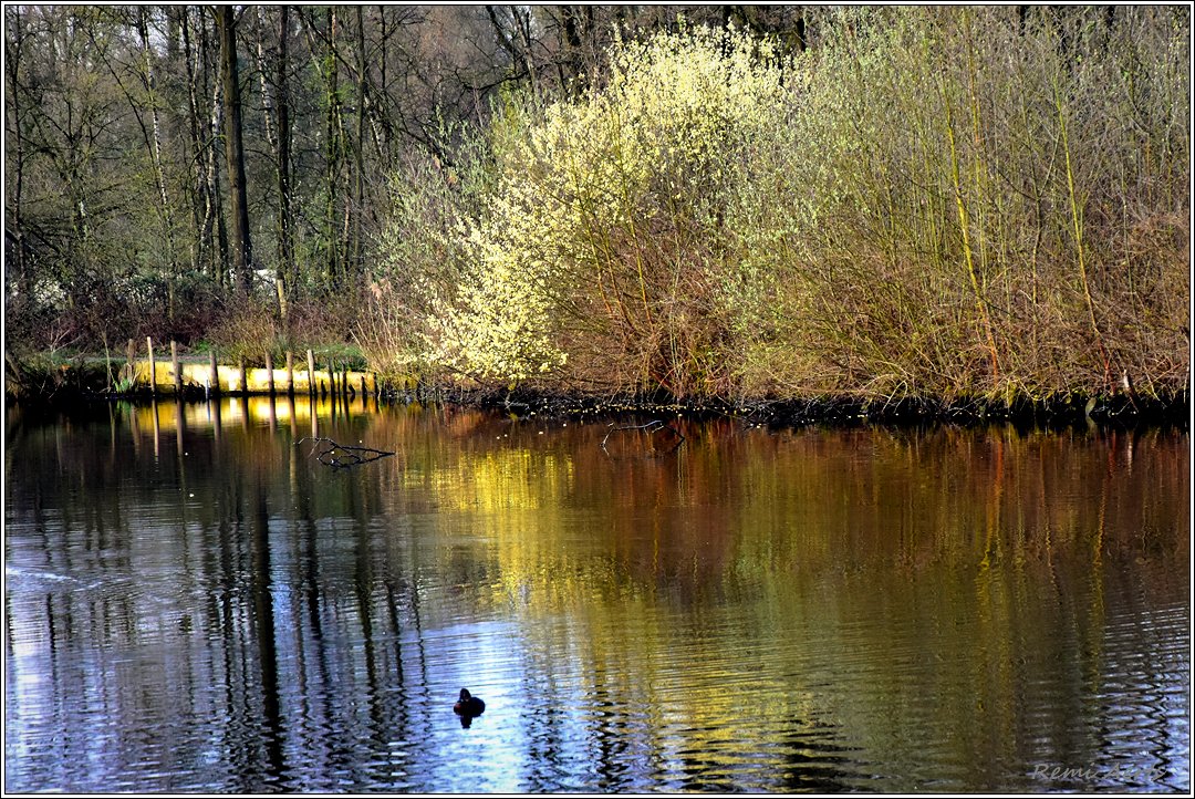 фото "***" метки: пейзаж, природа, 