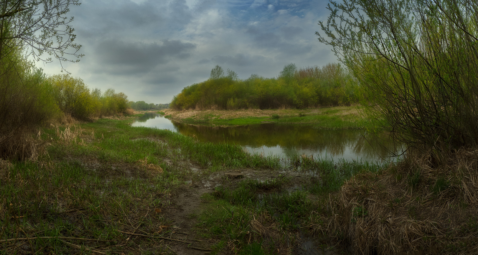 фото "Время, когда все ручьи стекают в реку..." метки: пейзаж, природа, панорама, болото, весна, заливные, камыш, кустык, луга, река, трава, утро
