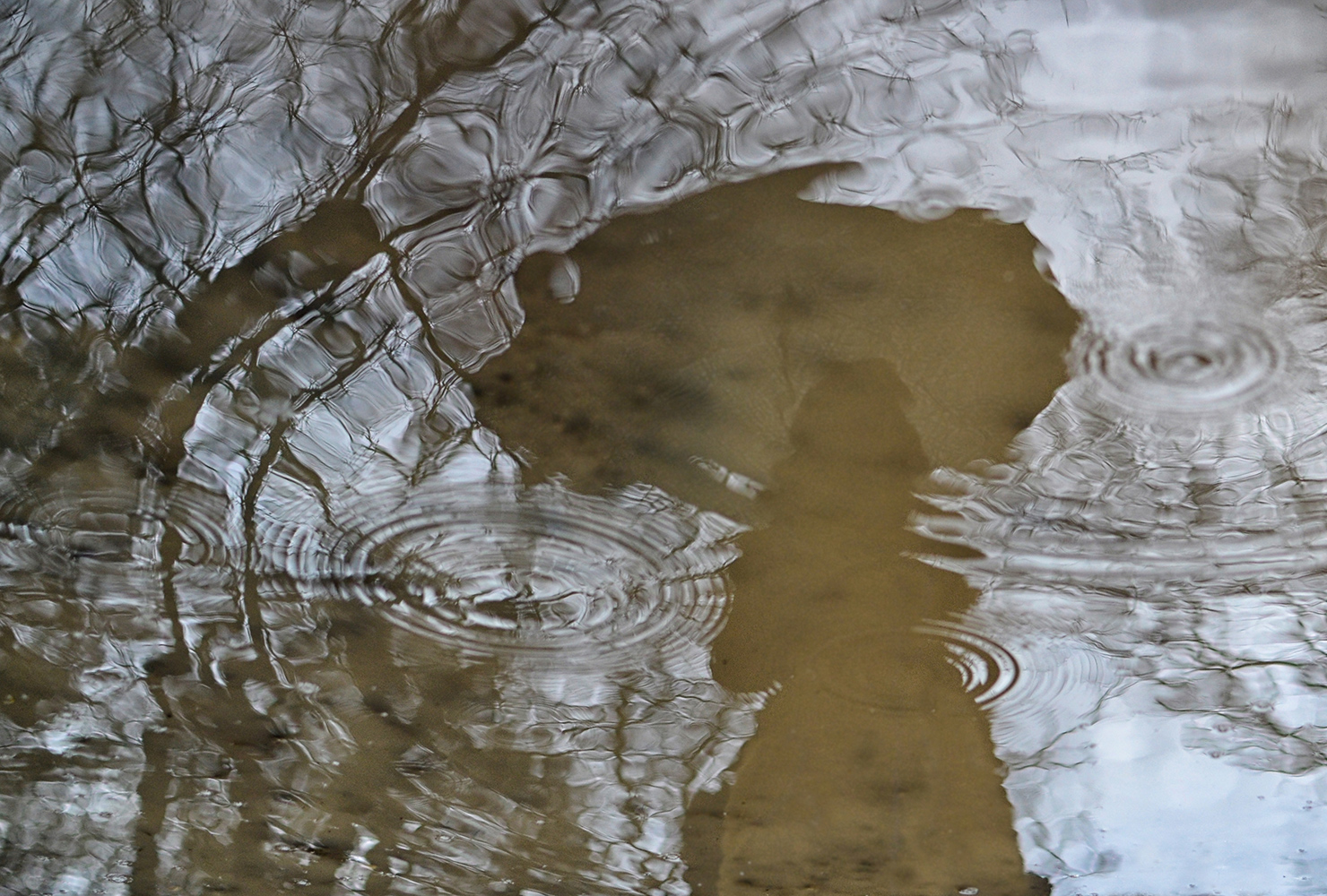 photo "***" tags: abstract, 