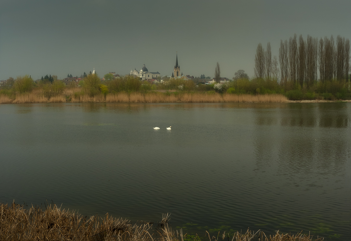 photo "***" tags: landscape, architecture, panoramic, rain, river, sky, spring, water, камыш, лебеди, тучи