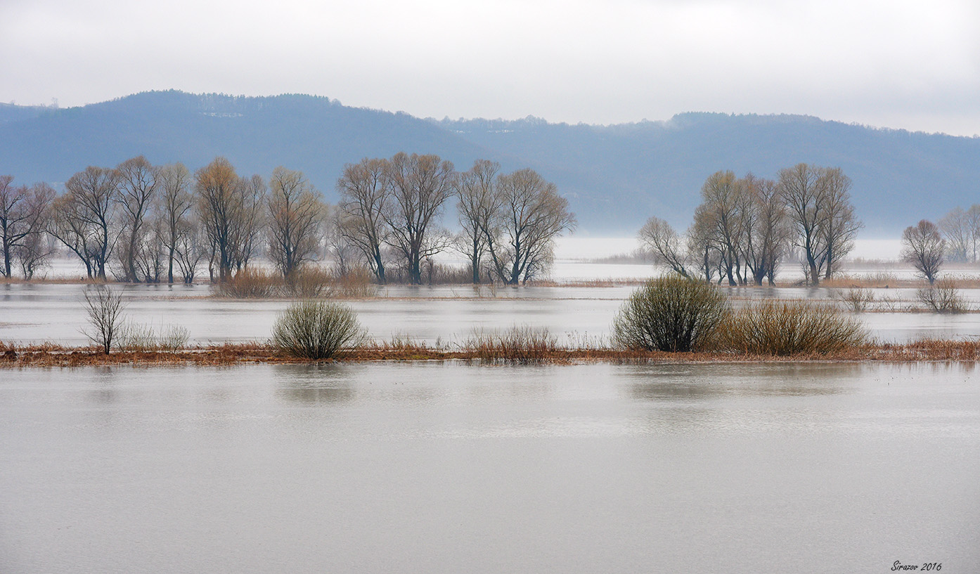 photo "Flooding on the Volga" tags: landscape, 