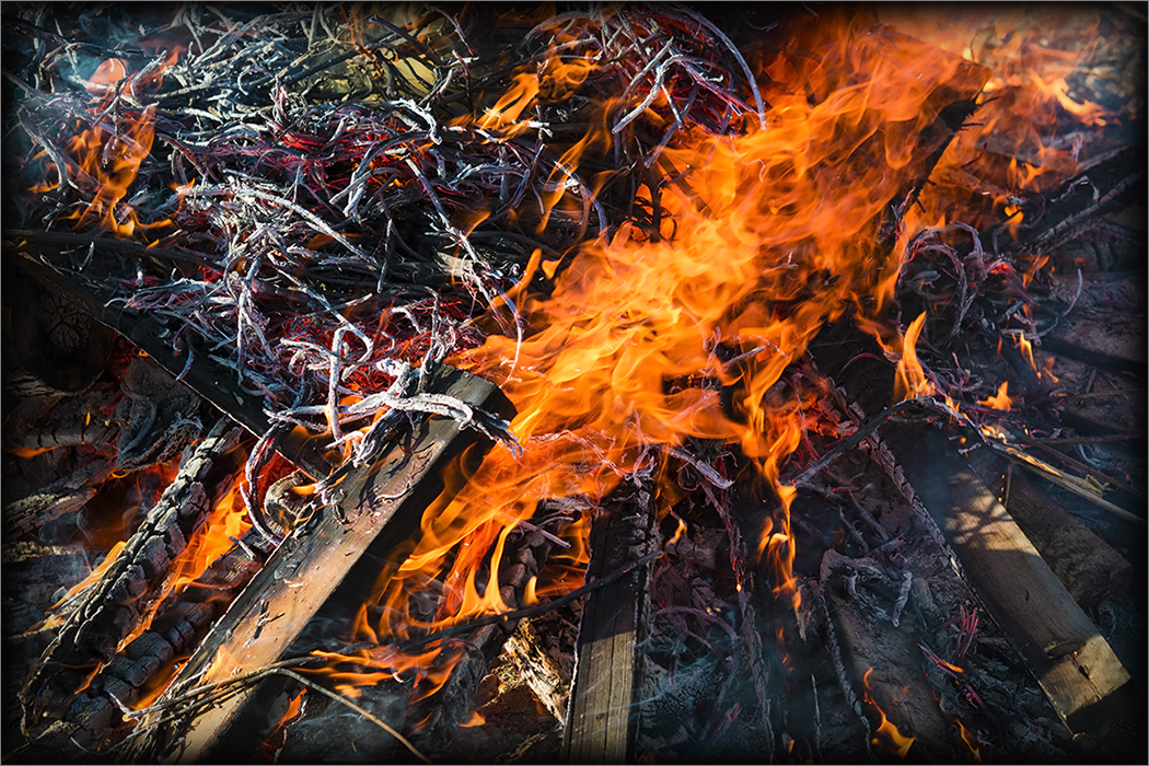 фото "Весенний костер" метки: макро и крупный план, Огонь, костёр, пламя