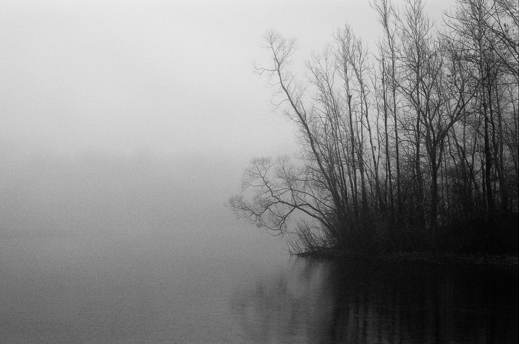 photo "fog" tags: landscape, black&white, misc., 35mm, Pentax, ZX-5N, film, fog, pond, woods