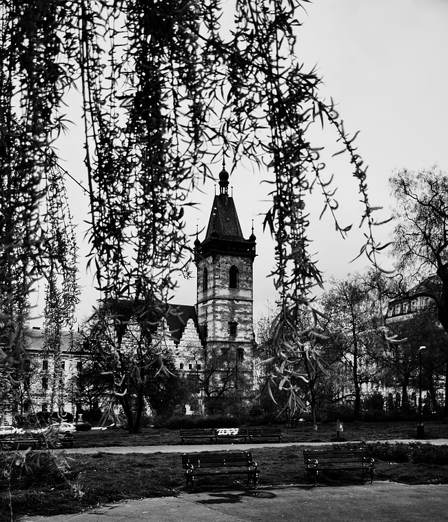 photo "Ветви и Новоместская ратуша" tags: architecture, black&white, Prag, Prague, Praha