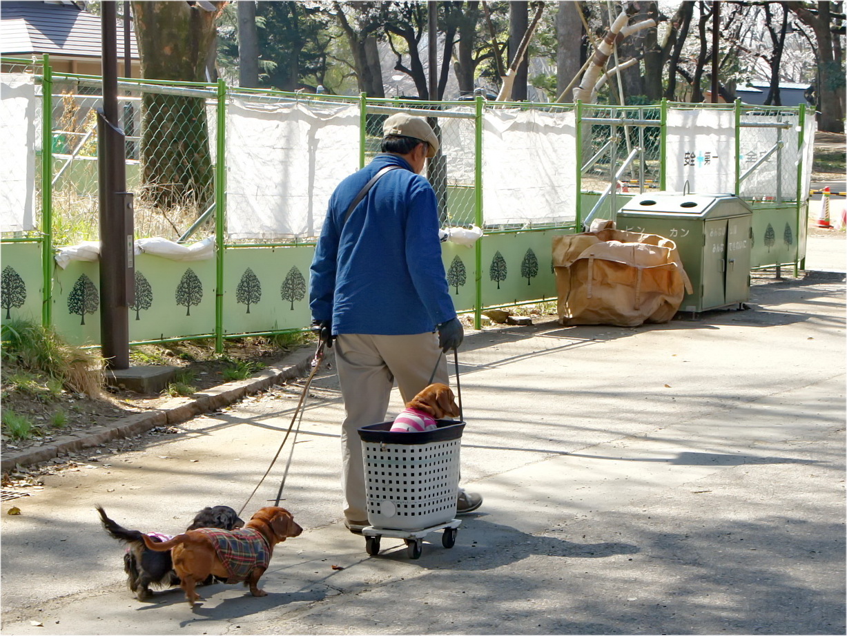 photo "***" tags: street, 