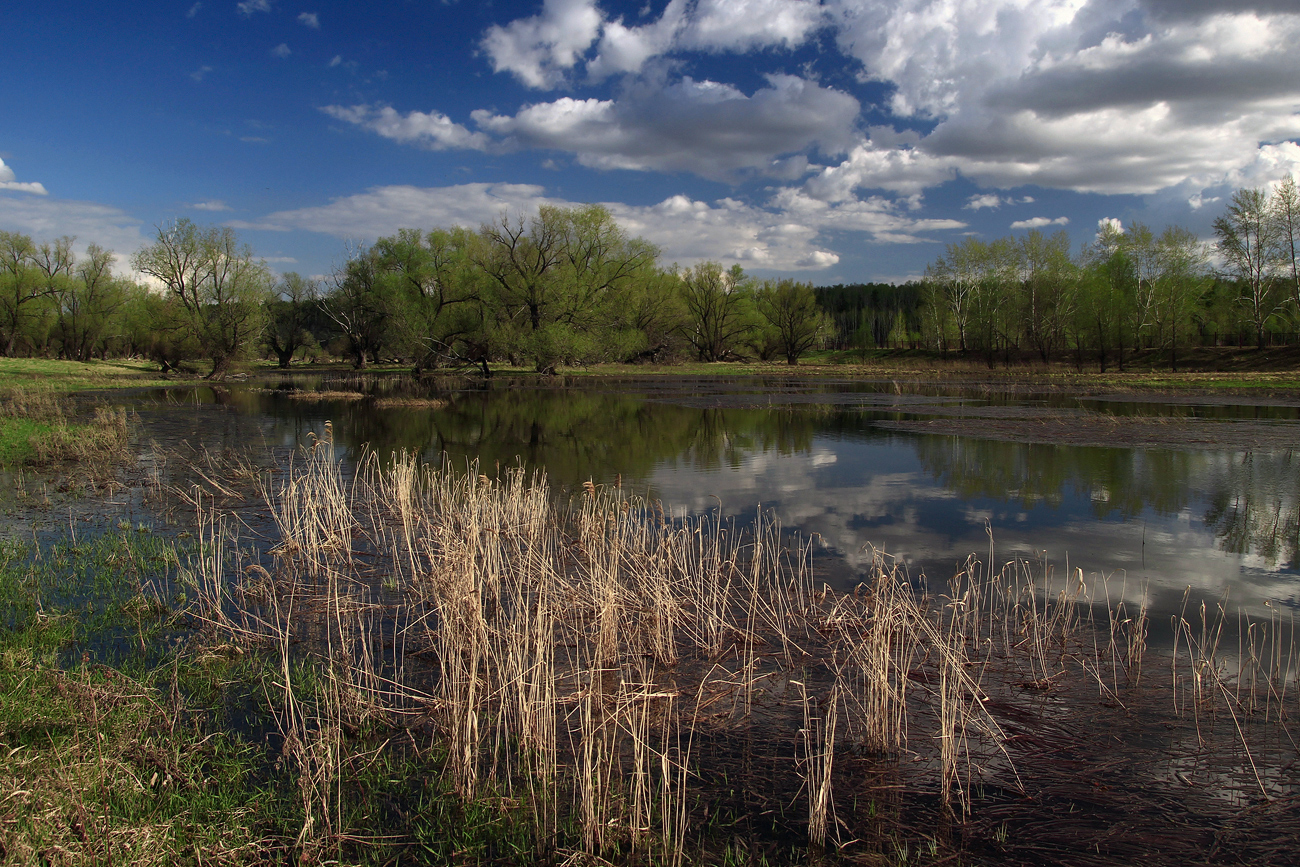 photo "***" tags: landscape, 