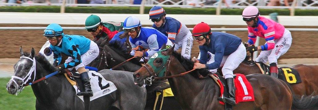 фото "***" метки: спорт, репортаж, betting, gambling, horse race, jockeys, race, race track, thoroughbreds