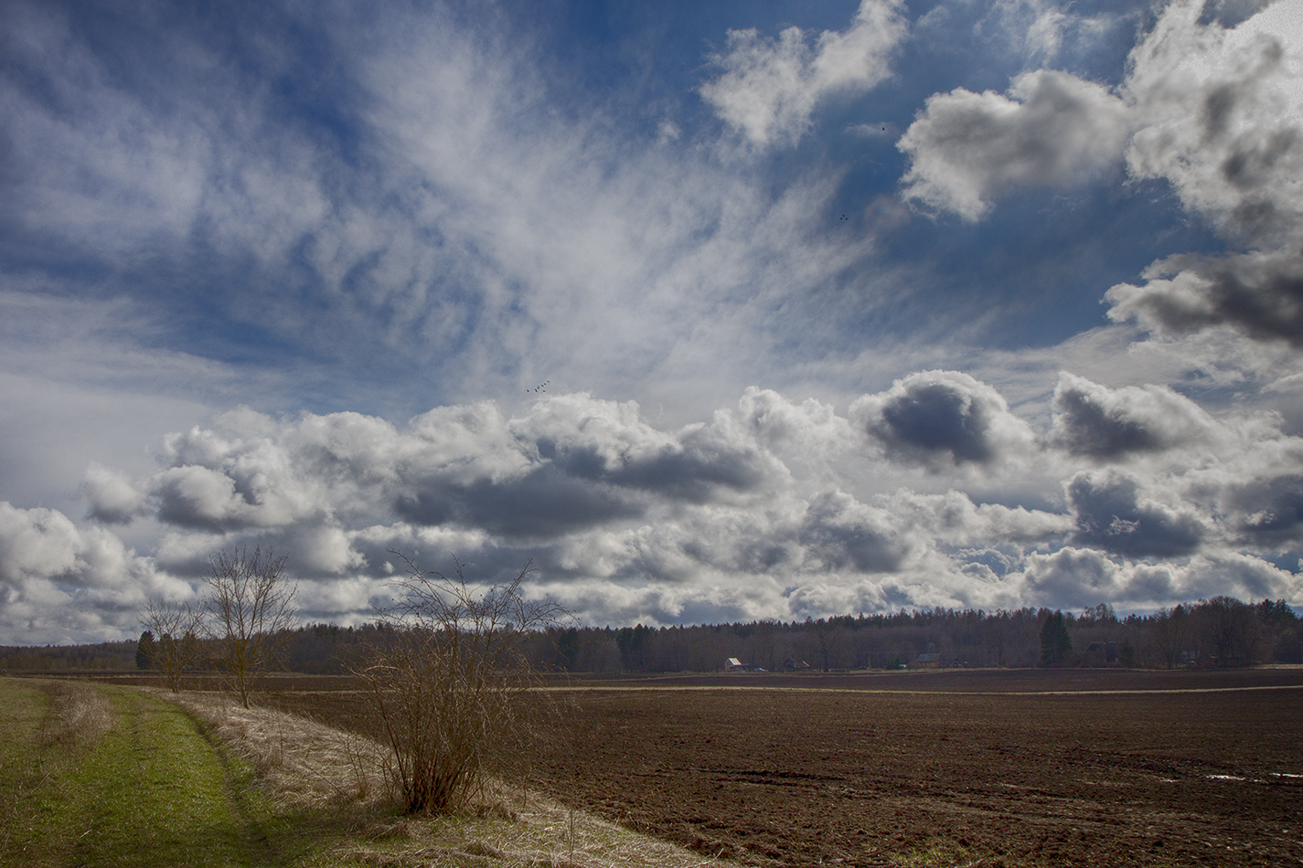 фото "Гуси прилетели" метки: пейзаж, весна, небо, облака