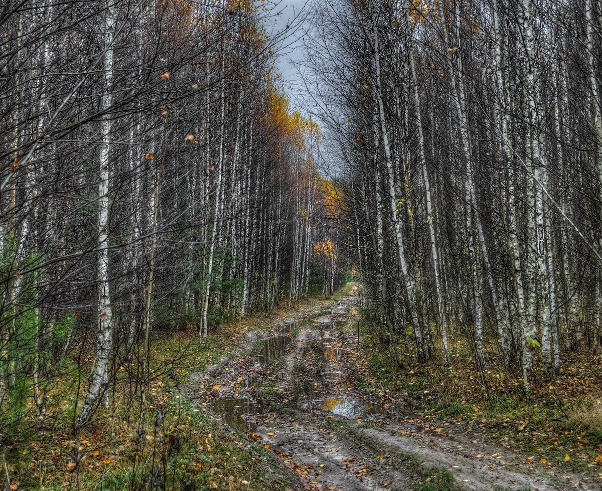 photo "***" tags: landscape, 