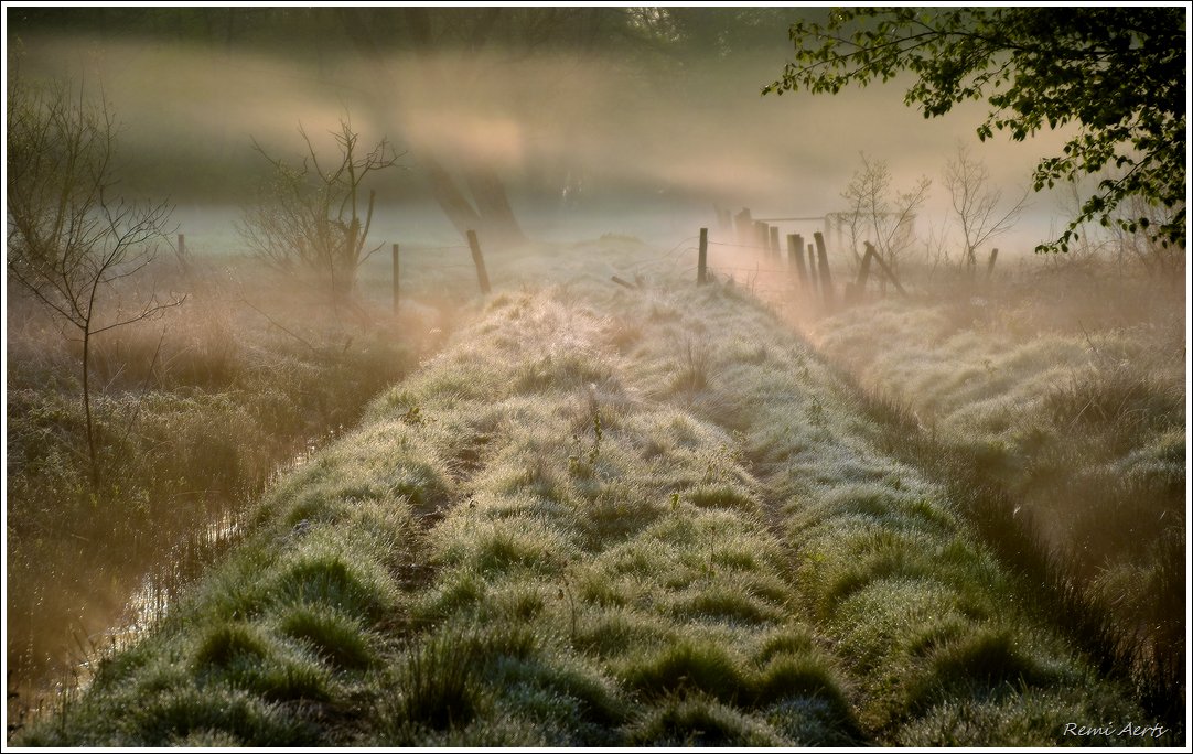 photo "***" tags: landscape, nature, 