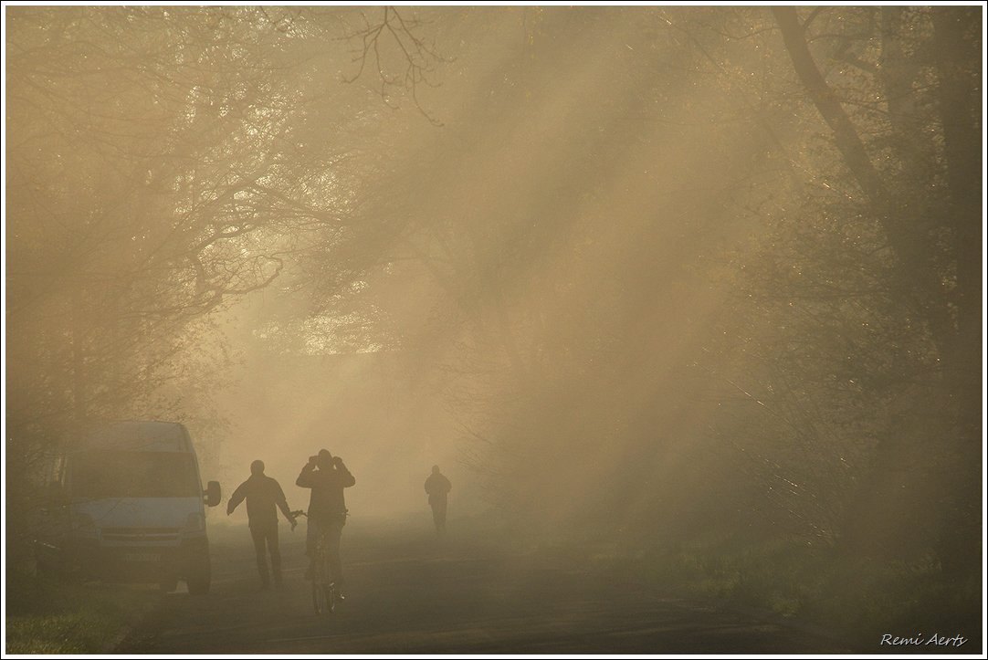 фото "***" метки: пейзаж, природа, репортаж, 