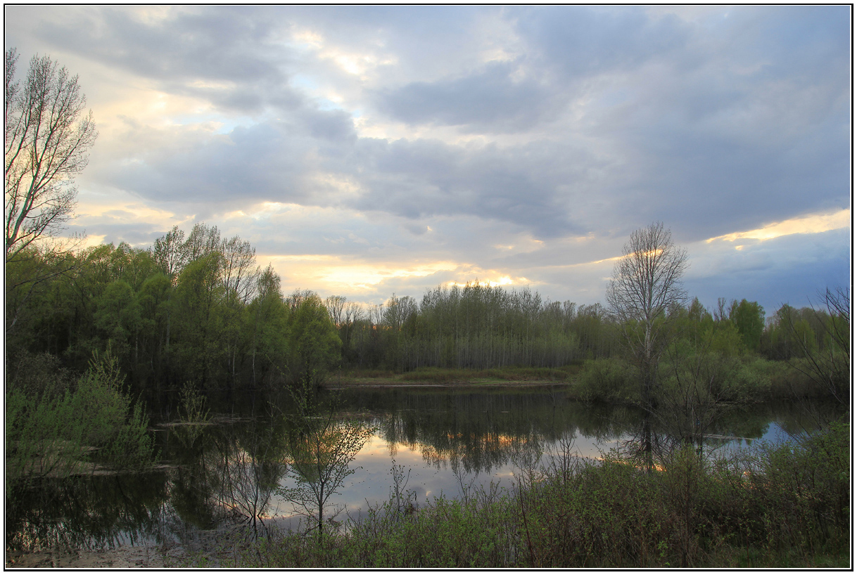 photo "In the beginning of May. On the Sunset." tags: landscape, lake, spring, луга, май