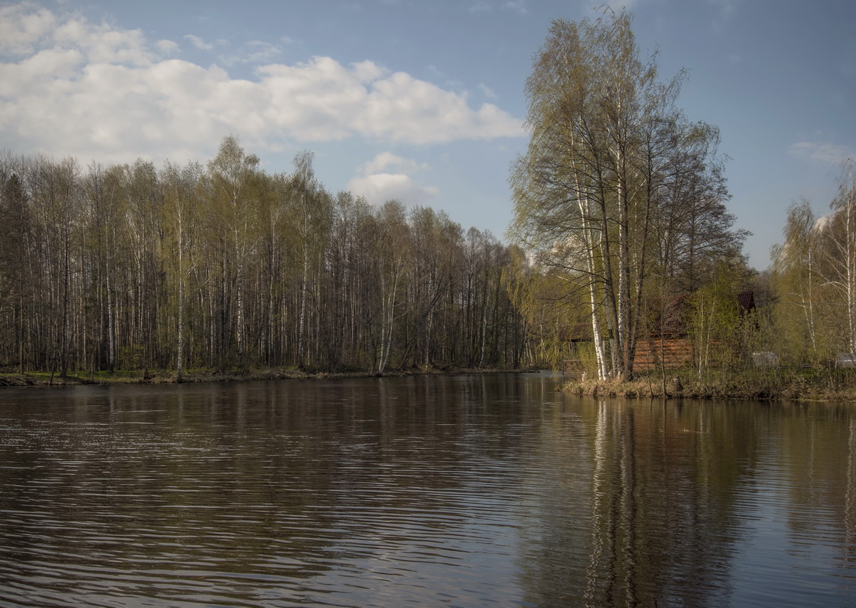 фото "Идилия весны" метки: пейзаж, 