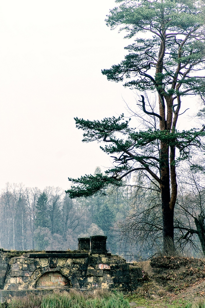 photo "***" tags: landscape, Europe, Sony-a580, St. Petersburg, autumn, curier, minolta 70-210, morning, rain, Гатчина