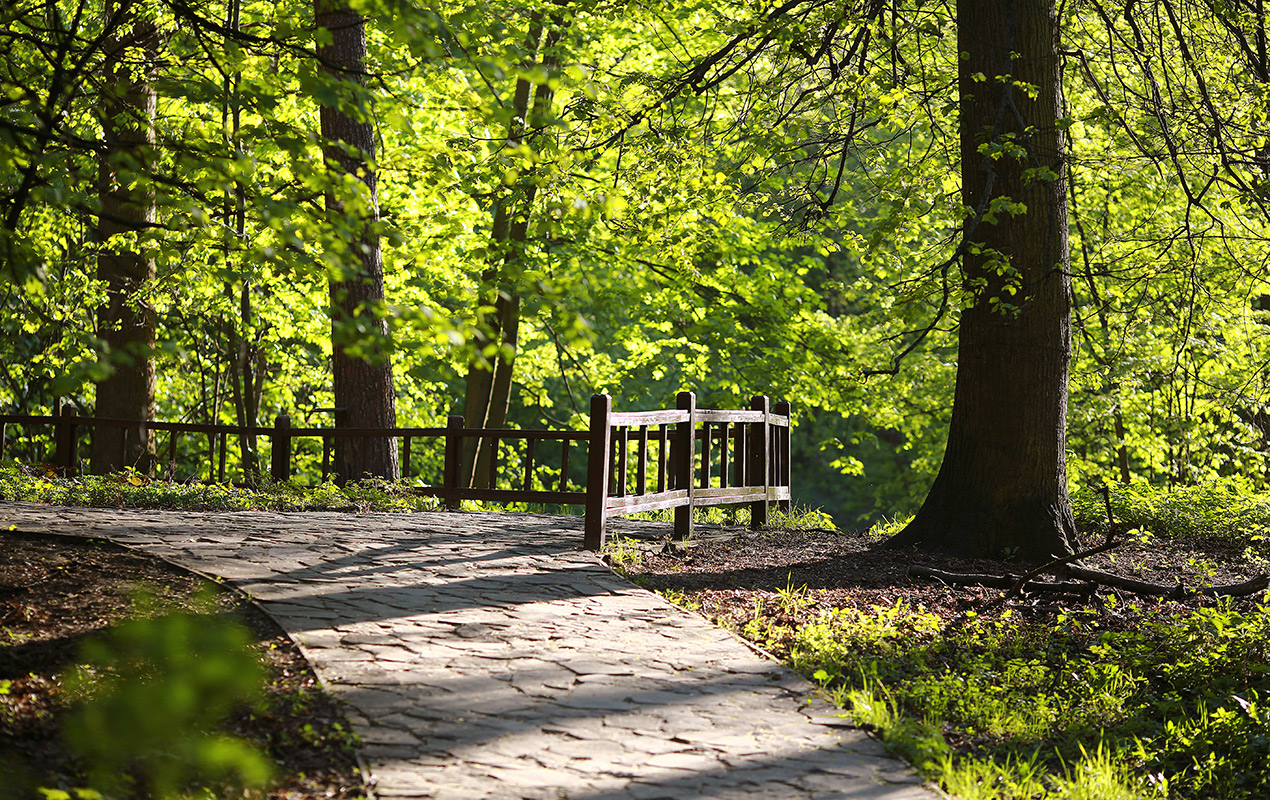 photo "***" tags: landscape, nature, 
