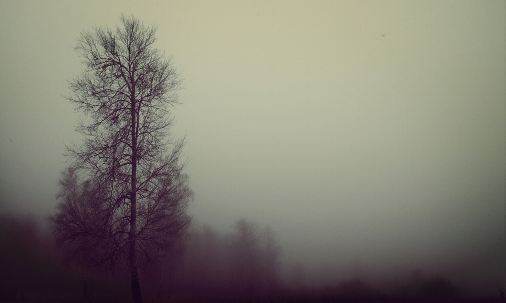 photo "***" tags: landscape, nature, black&white, 