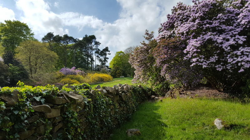 photo "Rowallene" tags: landscape, nature, 