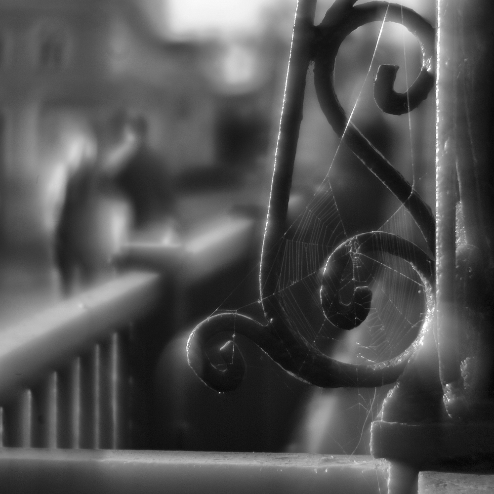 photo "***" tags: city, monocle