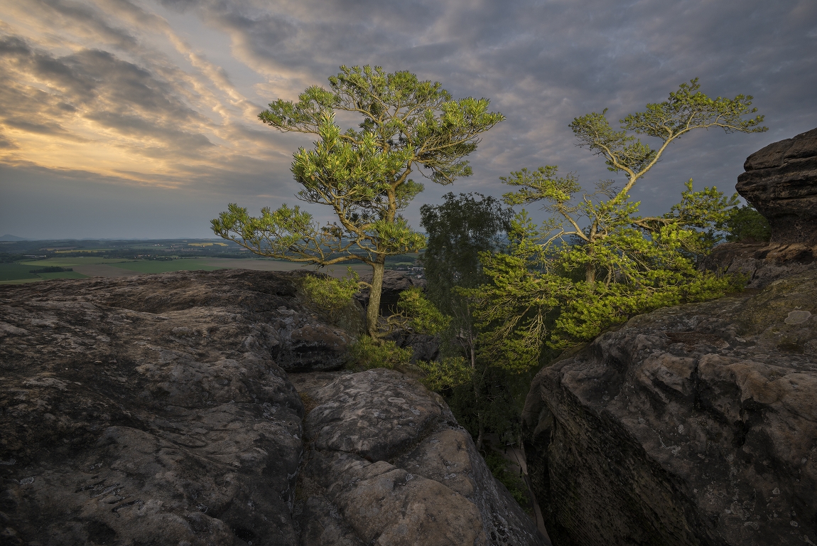 photo "Близнецы противостоящие бурям" tags: landscape, nature, misc., sky, sunset, пейзаж, писание светом, скала, скальный город, сосна