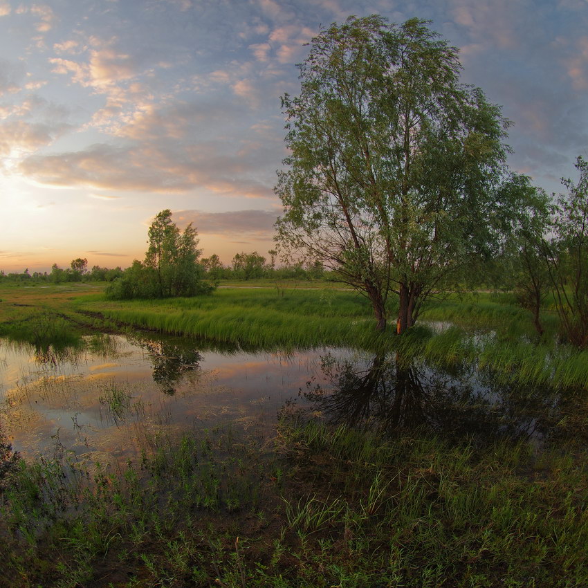 фото "***" метки: пейзаж, 