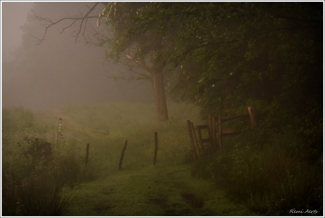 photo "***" tags: landscape, nature, 