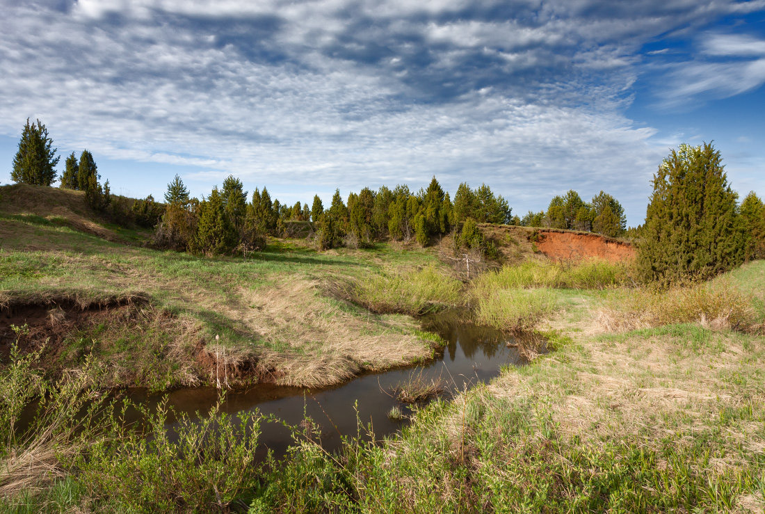 photo "***" tags: landscape, clouds, forest, grass, summer, Речка