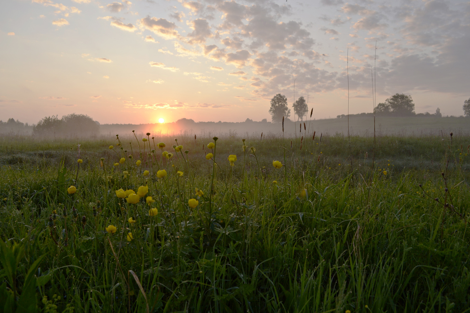 photo "***" tags: landscape, 