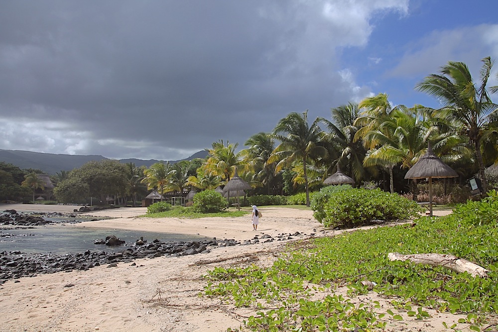 photo "***" tags: landscape, travel, nature, beach, island, Маврикий, пальмы