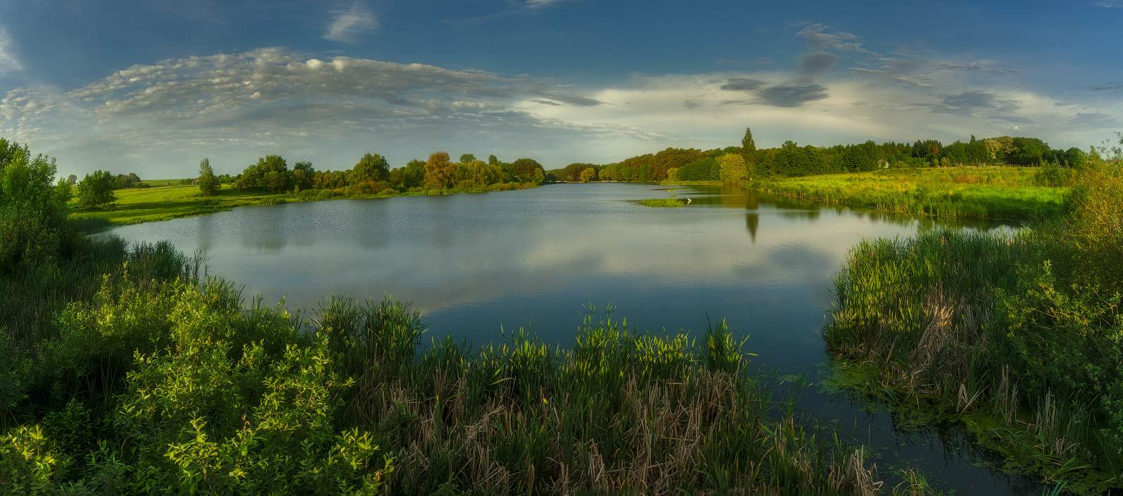 photo "***" tags: landscape, nature, panoramic, clouds, forest, lake, morning, sky, summer, sun, ветерок, тучи