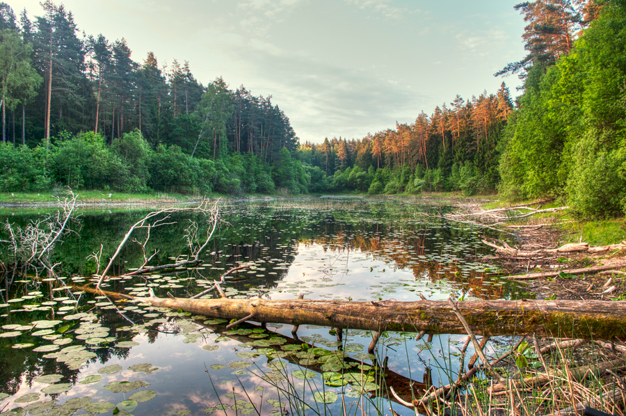 фото "Мокопон" метки: пейзаж, природа, 