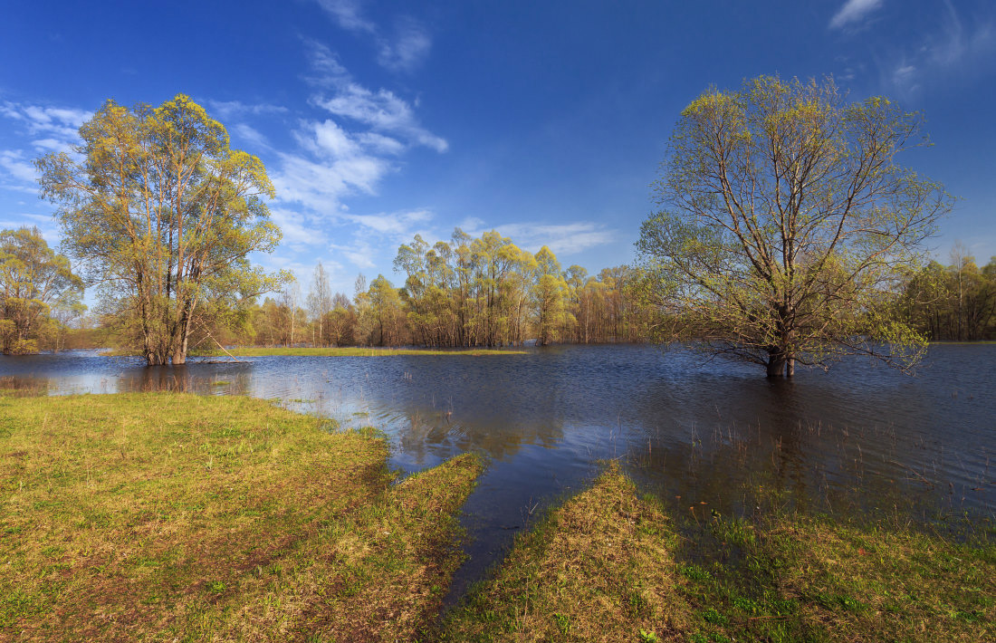 фото "Весенняя вода" метки: пейзаж, весна, вода, деревья. облака, трава