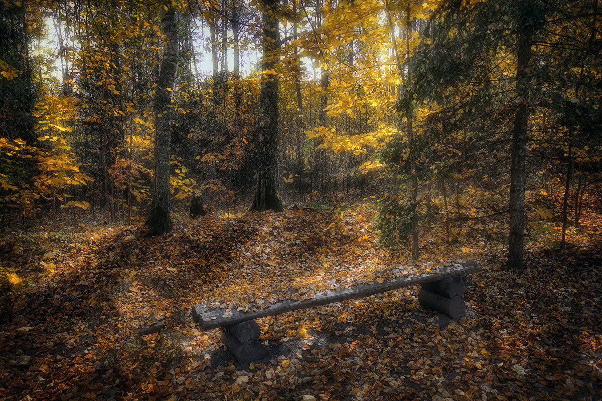 photo "***" tags: landscape, autumn