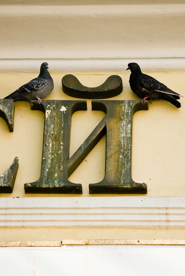 photo "***" tags: street, 