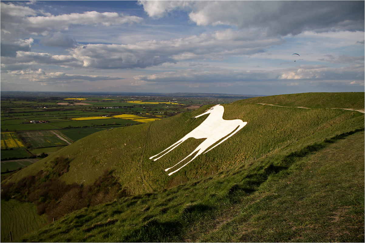 photo "Westbury White Horse" tags: travel, лошади, человек и природа