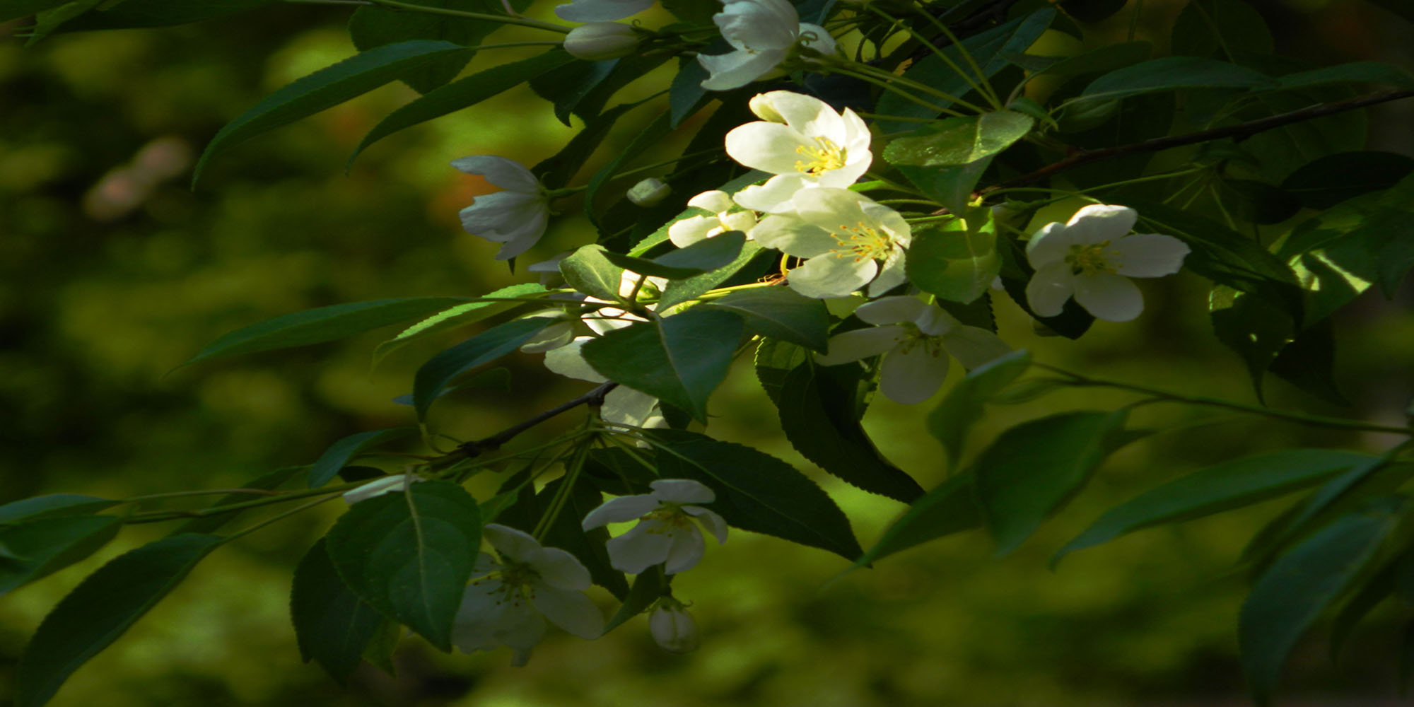 photo "***" tags: , 