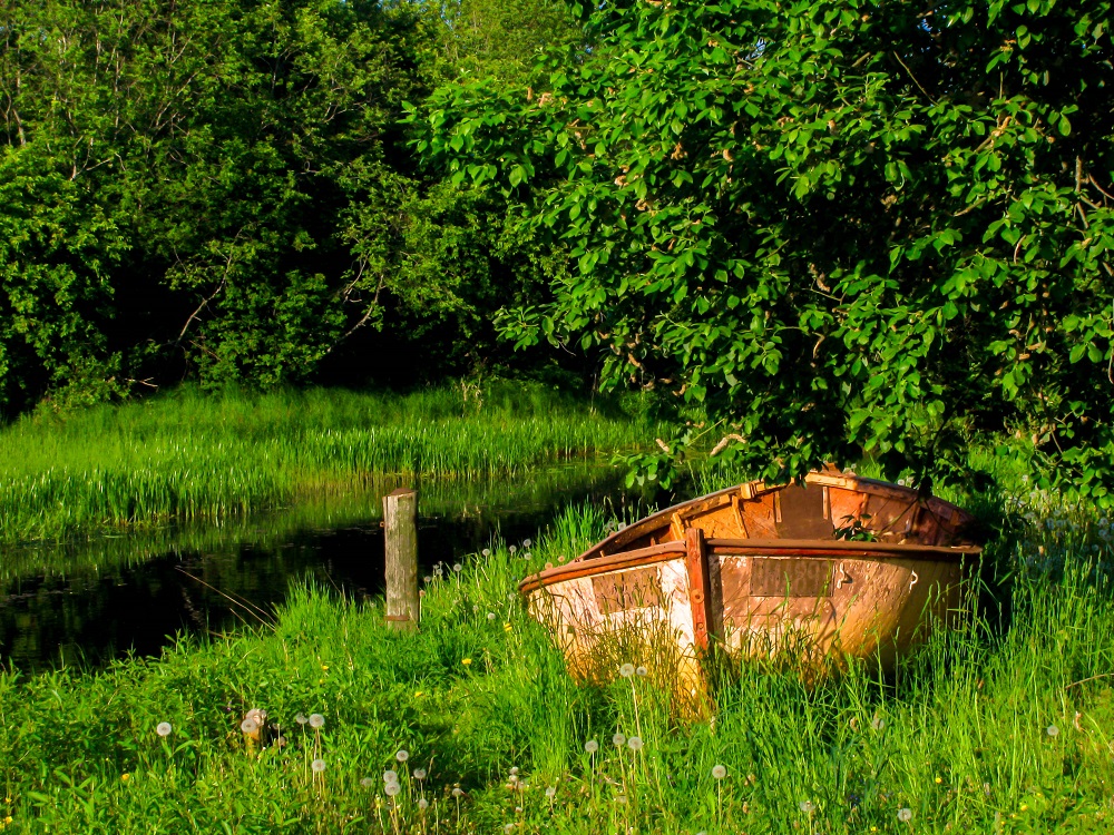 фото "***" метки: природа, 