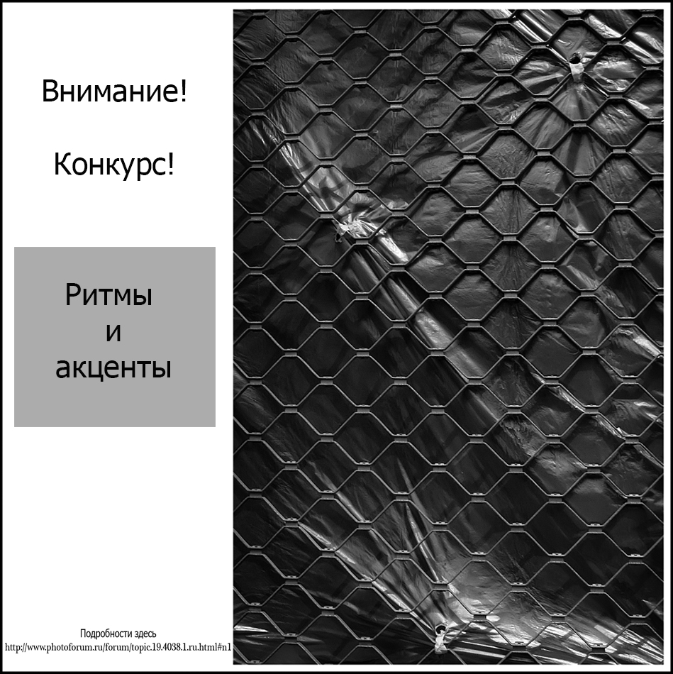 фото "Внимание! Конкурс! "Ритмы и акценты"" метки: разное, 