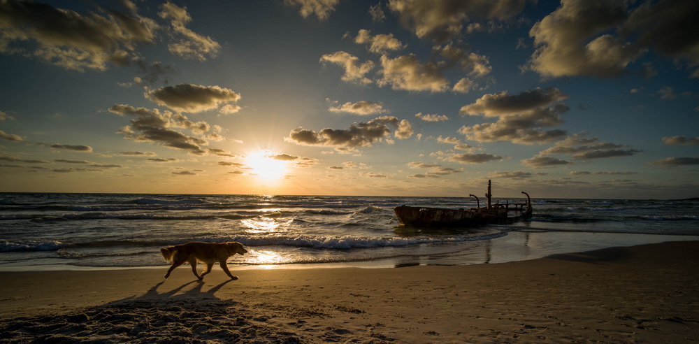 photo "Running to sunset" tags: landscape, 