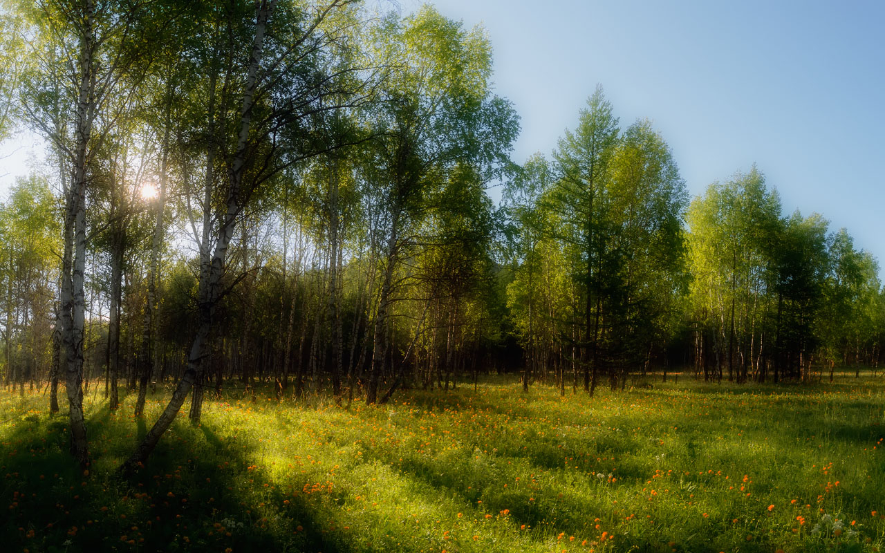 photo "***" tags: landscape, nature, travel, 