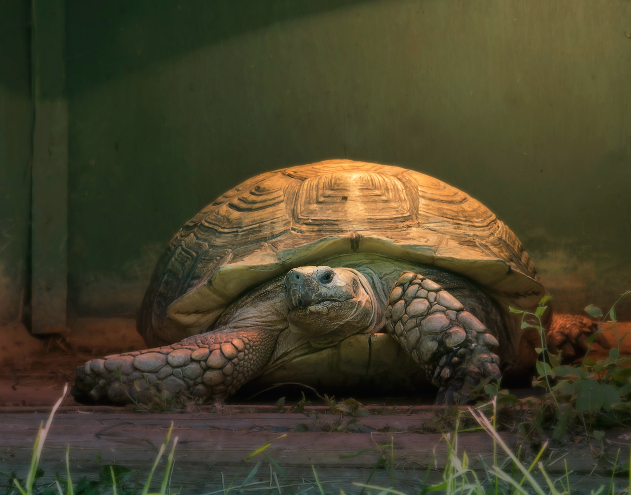 photo "***" tags: reporting, 