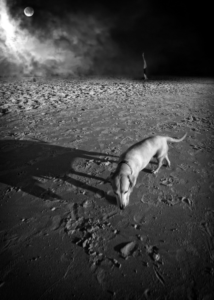 photo "Moon dog" tags: abstract, 